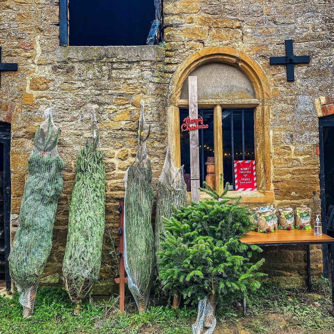 Castle Farm Christmas Trees - Somerset